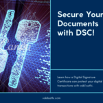 DSC (Digital Signature Certificate)